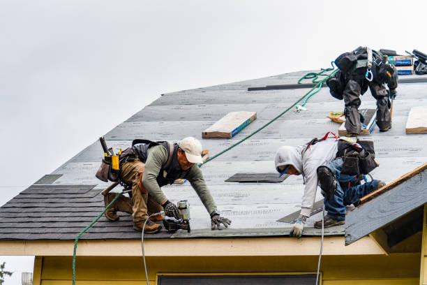 Professional Gutter Installation technician working in Toddville, MD